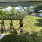 #Williams #backyard BBQ #riverheaddj 8/10/24